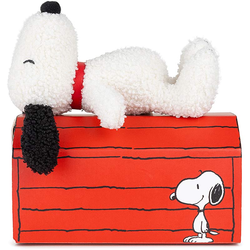 Snoopy Tiny Teddy In Gift Box