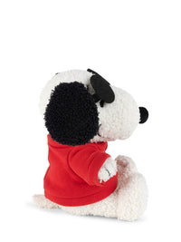 Snoopy Joe Cool