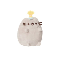 Party Pusheen