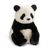 Borealis Hui Ying Panda