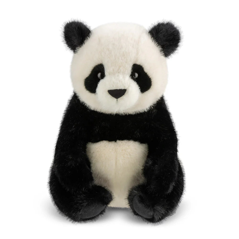Borealis Hui Ying Panda