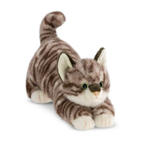 Borealis Esme Tabby Cat