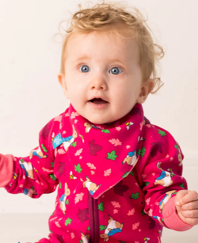 Peter Rabbit Autumn Leaf Bib