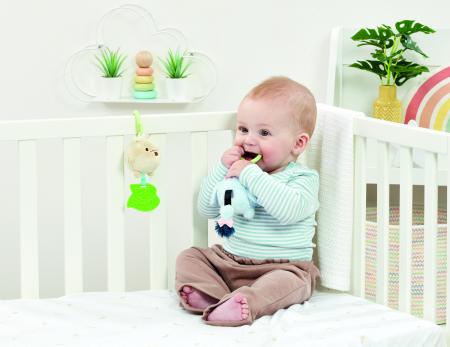 Eeyore Rattle and Crinkle