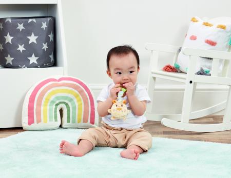 Bouncy Tigger with Squeker