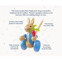 Boxed Peter Rabbit Push along