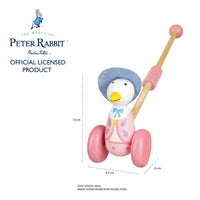 Boxed Jemima Push along