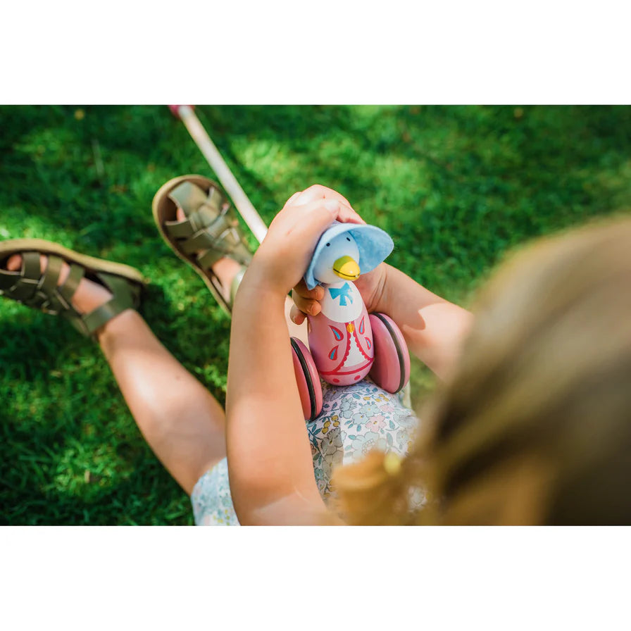 Boxed Jemima Push along