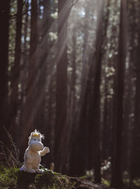 Snorkmaiden by Charlie Bears