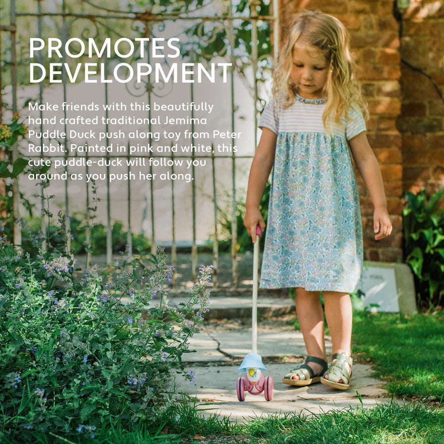 Boxed Jemima Push along