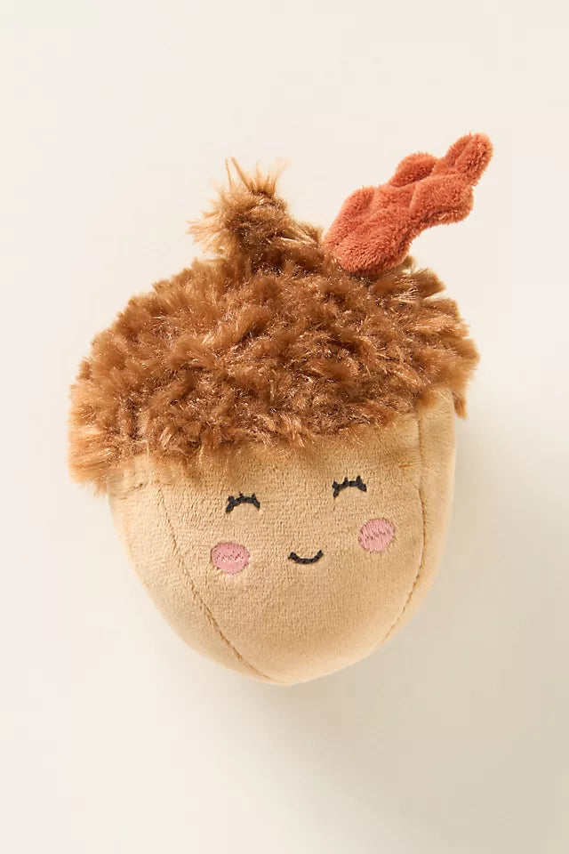 Autumn Acorn