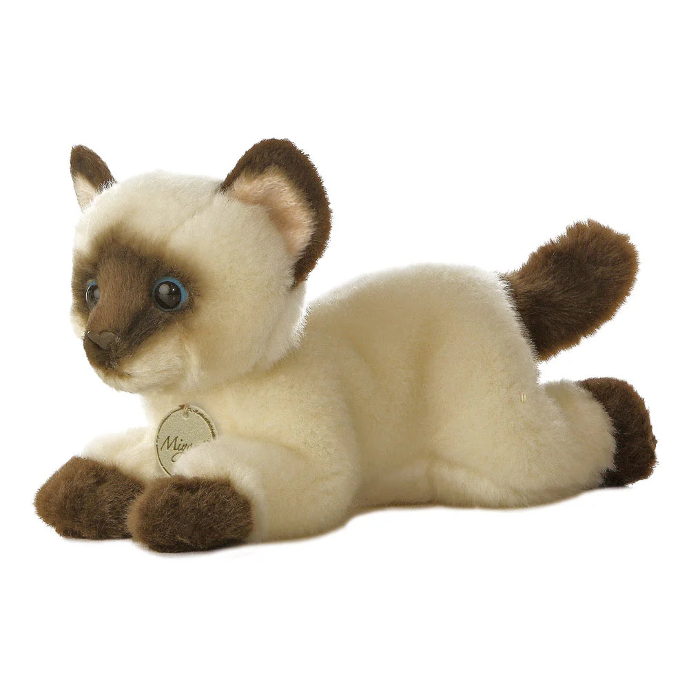 Miyoni Siamese Cat