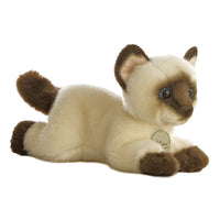 Miyoni Siamese Cat