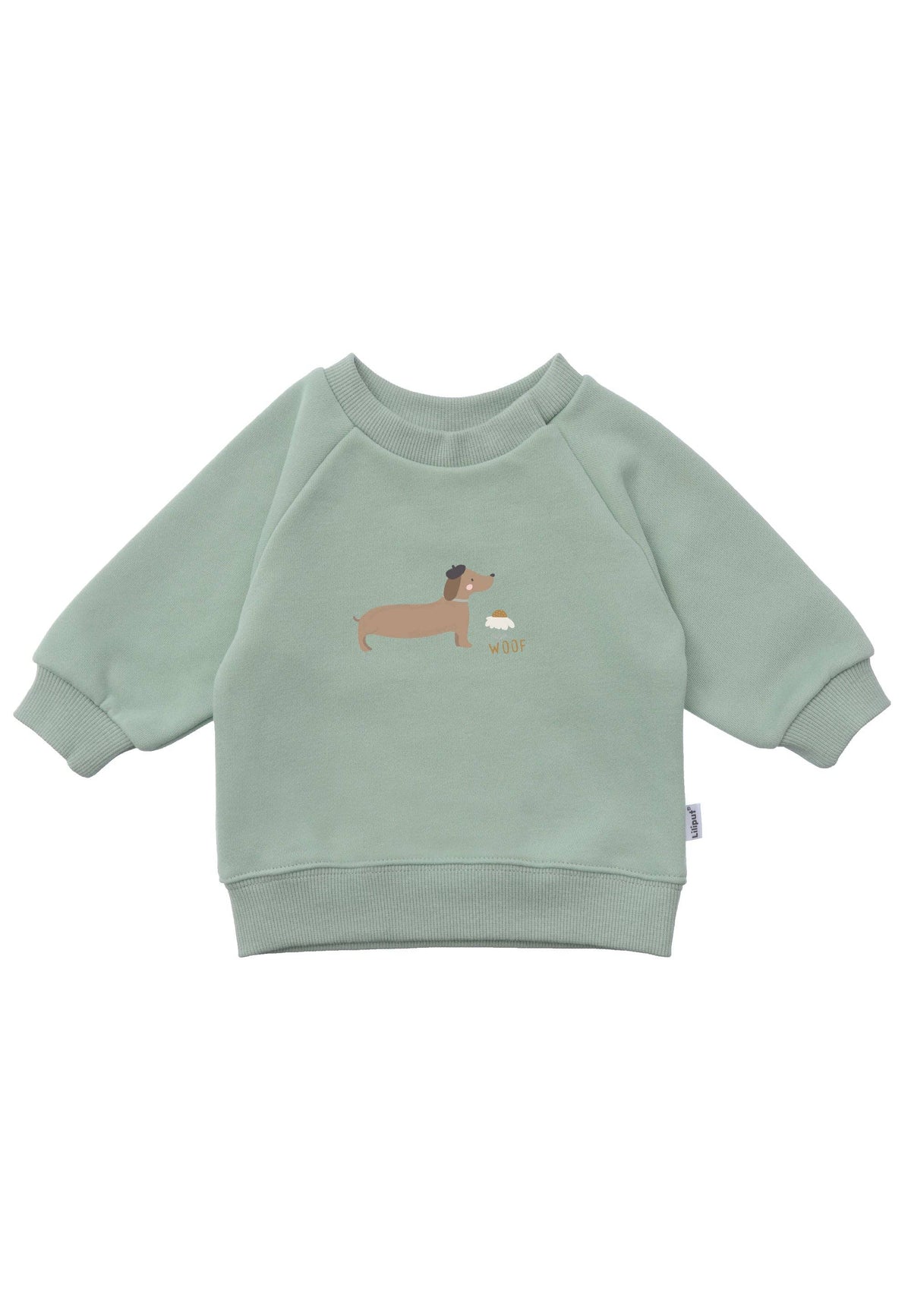 Sweatshirt in reed with "Dachshund" print