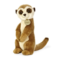 Miyoni Meerkat