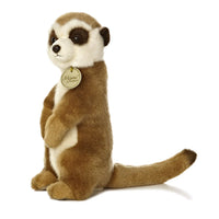 Miyoni Meerkat