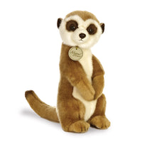Miyoni Meerkat