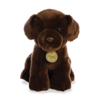 Miyoni Chocolate Labrador