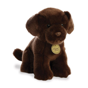 Miyoni Chocolate Labrador