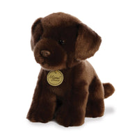 Miyoni Chocolate Labrador
