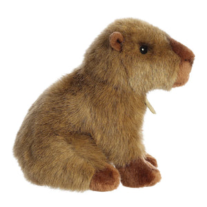 Miyoni Capybara