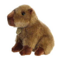 Miyoni Capybara