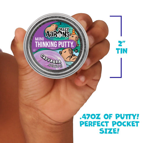 Crazy Aarons Mini Thinking Putty Variety of Designs