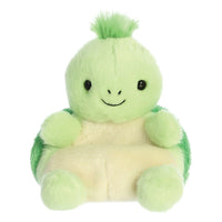 Tiny Turtle