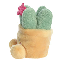 Palm Pals Seyla Succulent