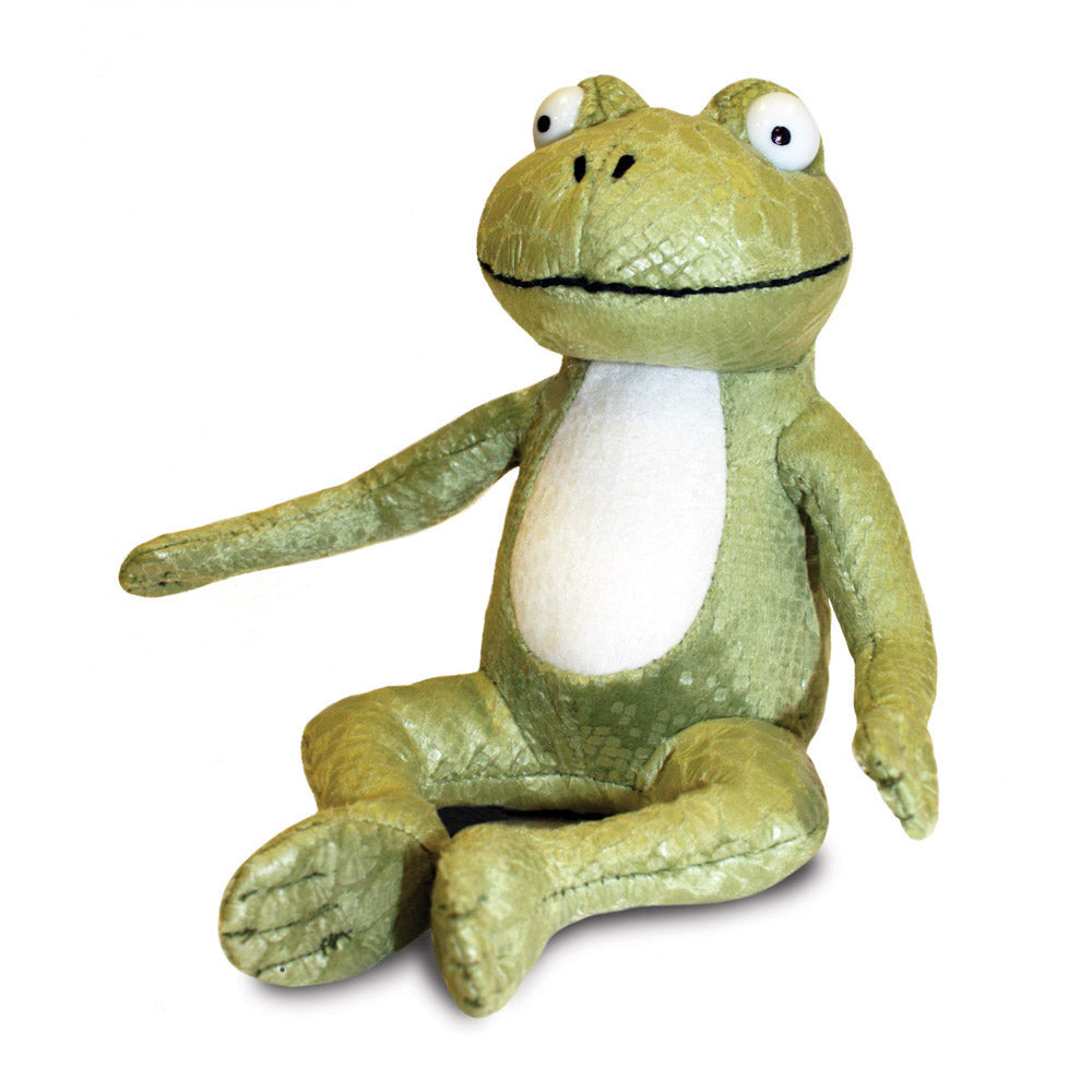 Room on the Broom Frog