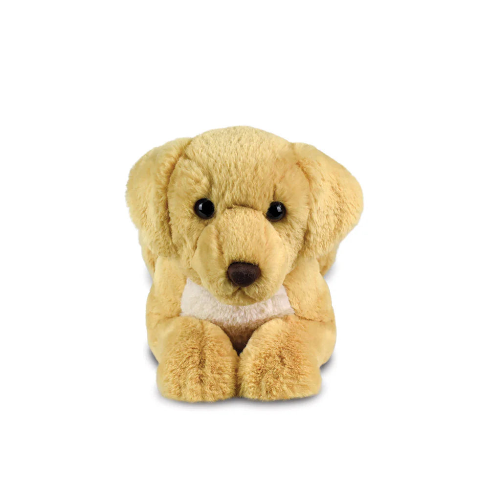 Borealis Bertie Labrador