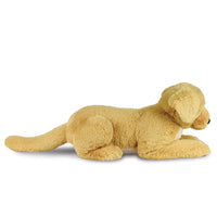 Borealis Bertie Labrador
