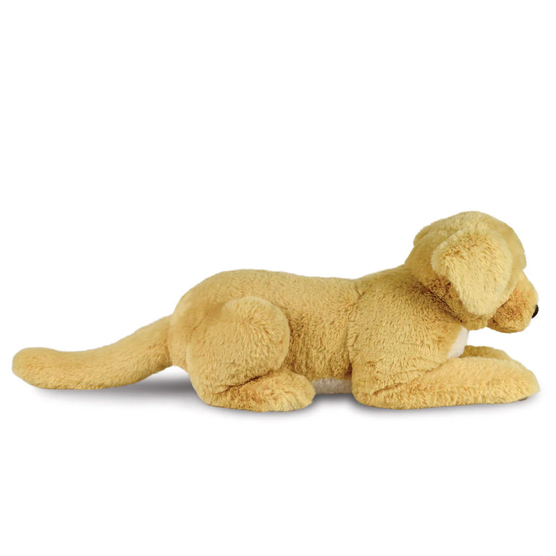 Borealis Bertie Labrador