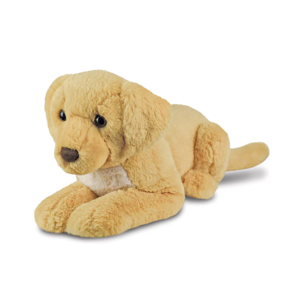 Borealis Bertie Labrador