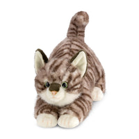 Borealis Esme Tabby Cat