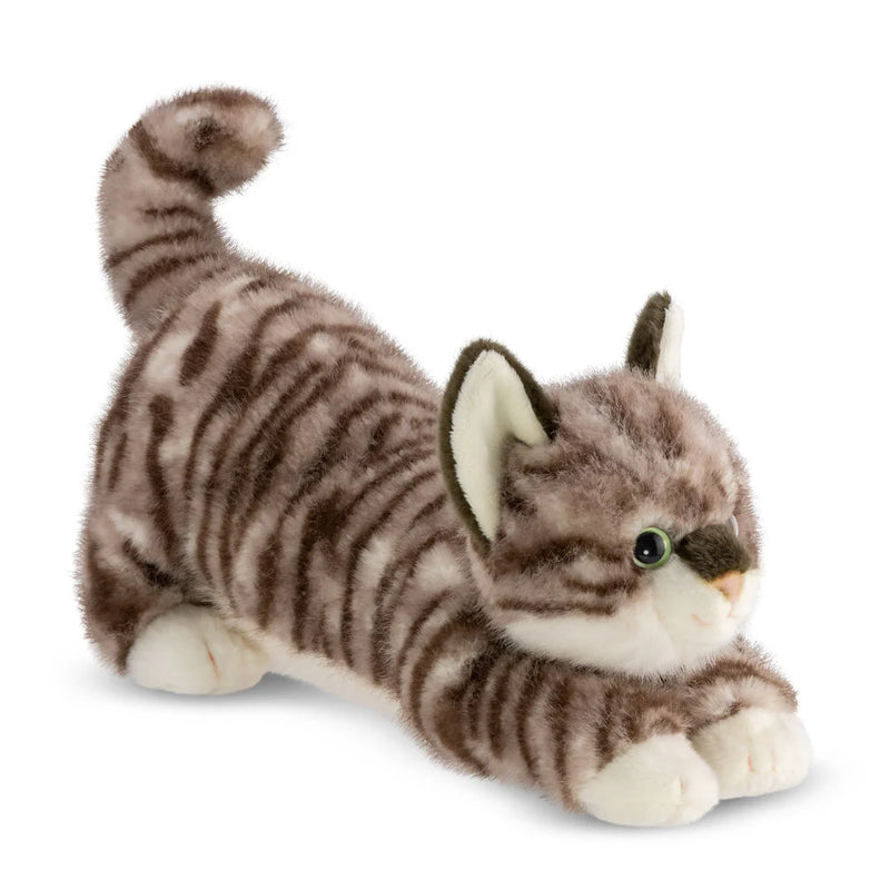 Borealis Esme Tabby Cat