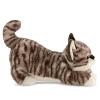 Borealis Esme Tabby Cat