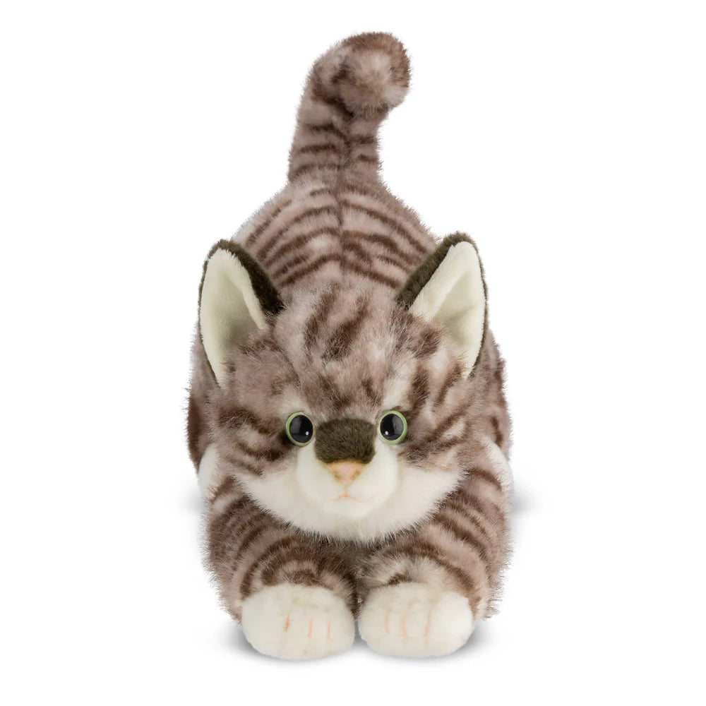 Borealis Esme Tabby Cat