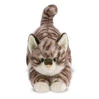 Borealis Esme Tabby Cat