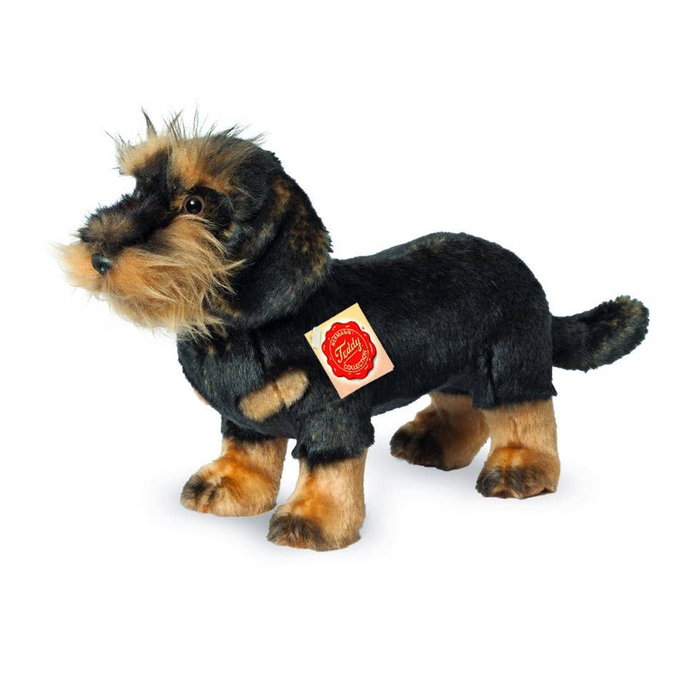 Wire-haired dachshund standing 28 cm - plush toy - soft toy