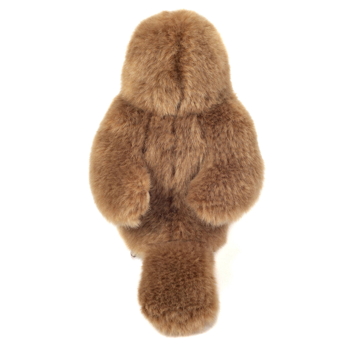 Robin 15 cm - plush toy - soft toy