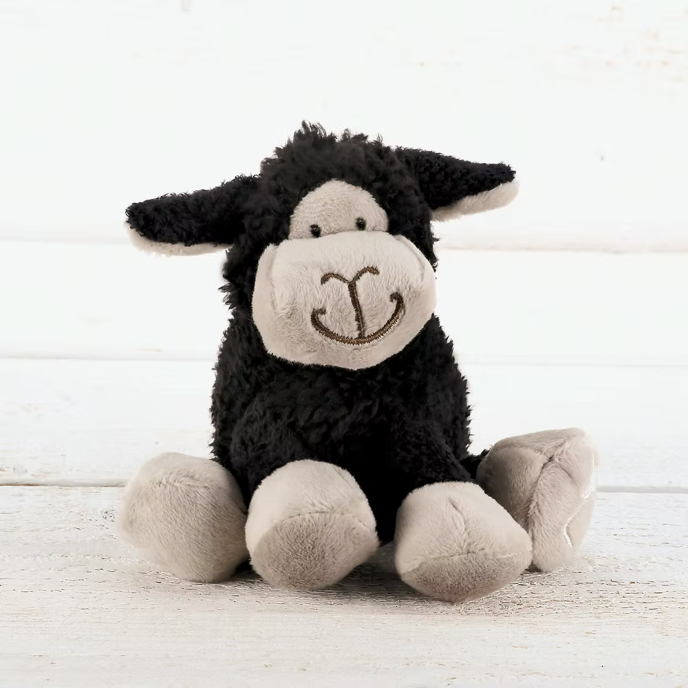 Mini Black Sheep