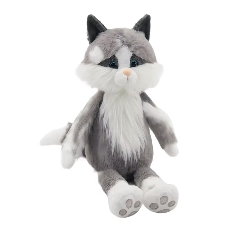 Ragdoll Cat