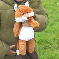 Foxy Dave