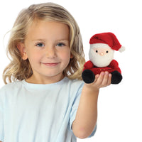 Palm Pals Santa Claus