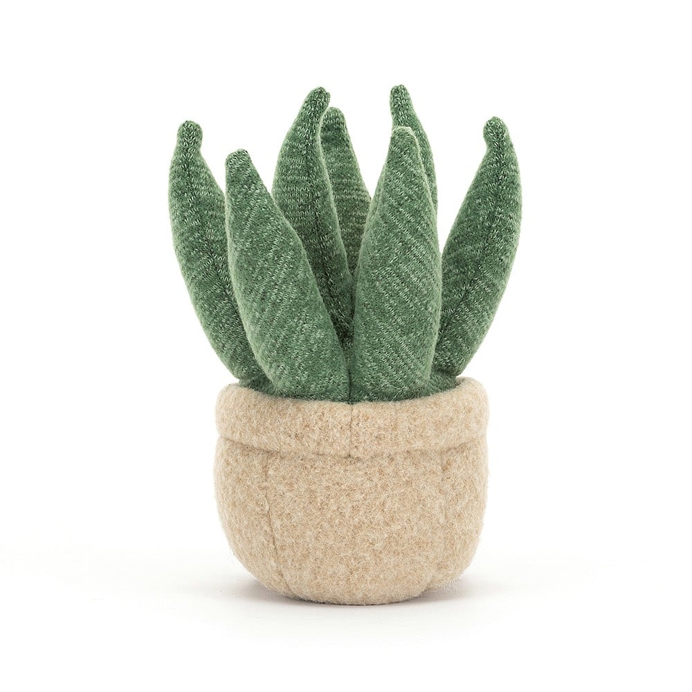 Amuseable Aloe Vera max 1 per customer