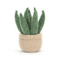Amuseable Aloe Vera max 1 per customer