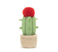 Amuseable Moon Cactus max 1 per customer