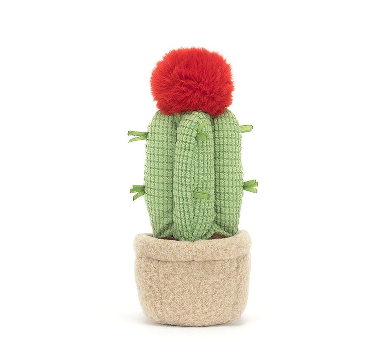 Amuseable Moon Cactus max 1 per customer