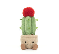 Amuseable Moon Cactus max 1 per customer